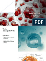 Eukaryotic Cells