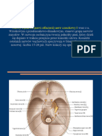 Opisy Nerwów Czaszkowych