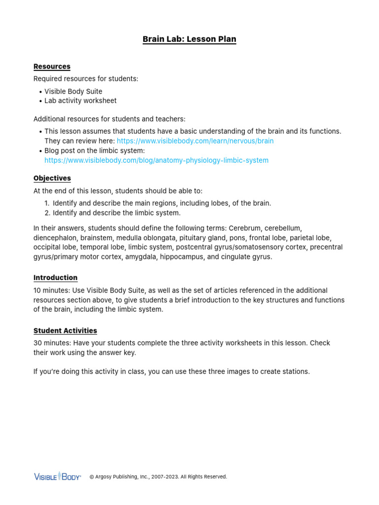 Brain Lab Lesson Plan Overview | PDF