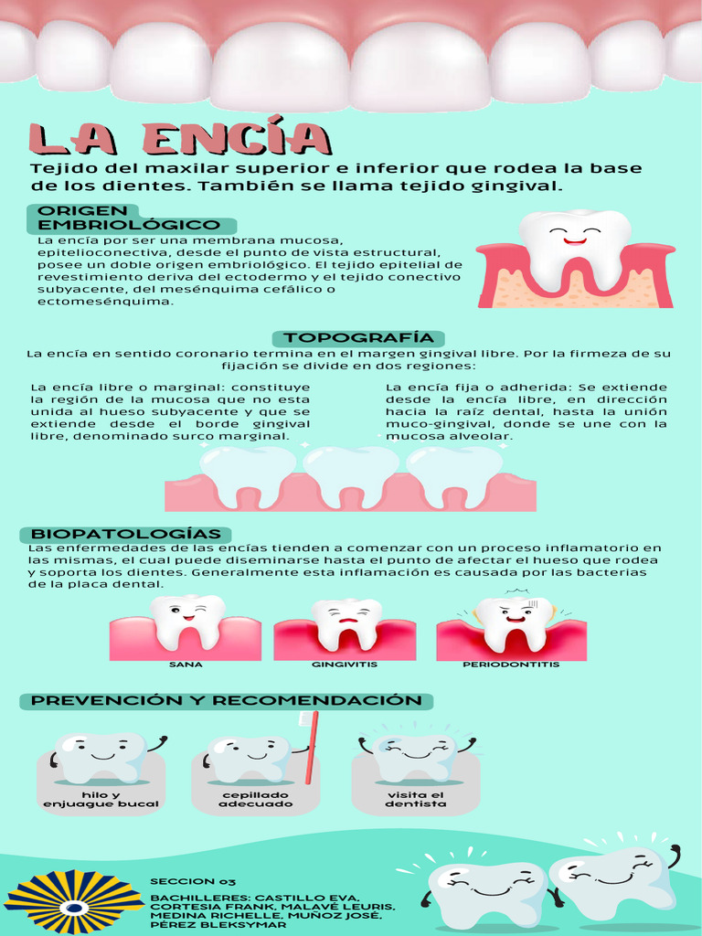 La Encía | PDF