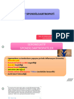 Seronegatif Spondiloartropatiler