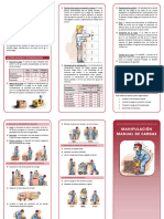 Ficha - Levantamiento de Cargas