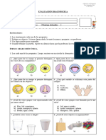 Evaluación Diagnóstica - 2° Año Básico