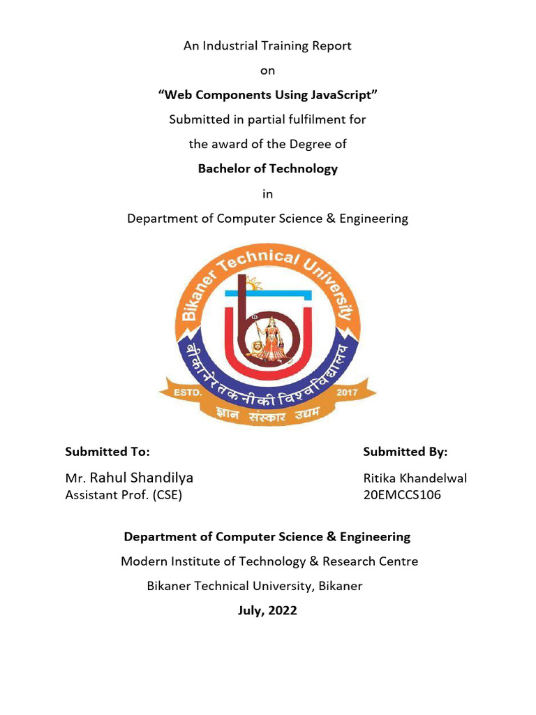 Industrial report on web development pdf