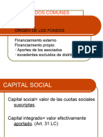 BOL VII Capital Social