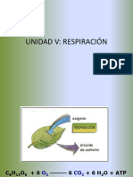 Respiración