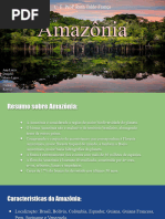 Cópia de Amazônia Trabalhoo