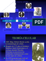 Teoria Celular p3 2023