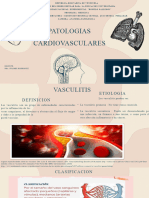 Patologias Cardiovasculares