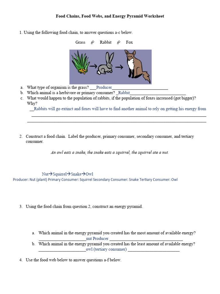 7th Science Calamity 2 | PDF | Food Web | Herbivore