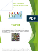 Tulipan