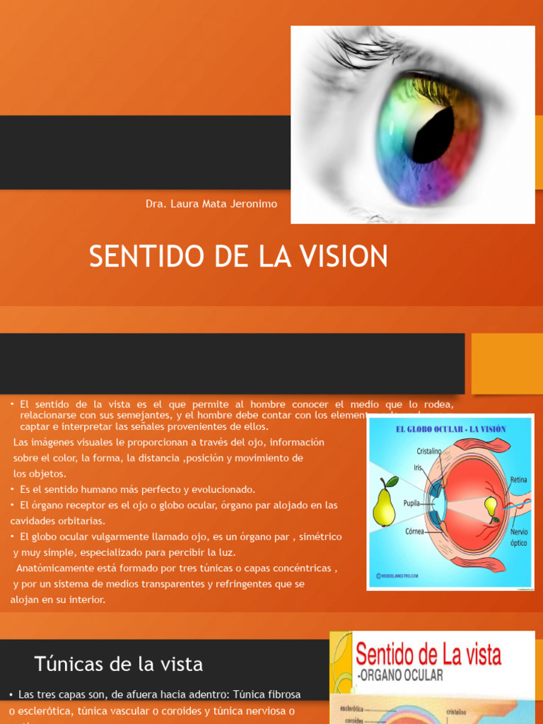 2.sentido de La Vista | PDF | Ojo humano | Percepción visual