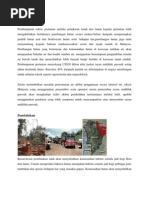 Download contoh karangan by Ckin Rahim SN70029383 doc pdf