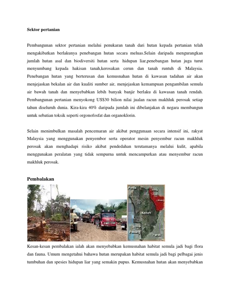 contoh karangan