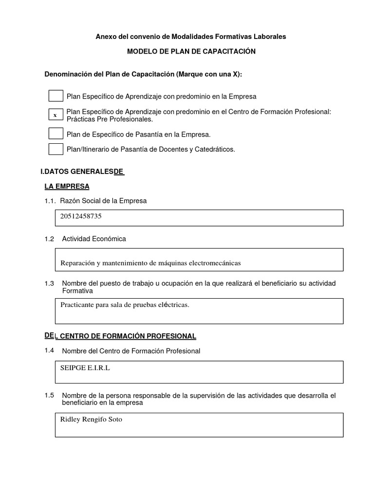 Plan de Capacitación para Practicantes | PDF | Evaluación | Business