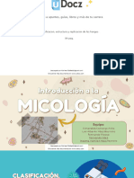 Micosis 438624 Downloadable 4127735