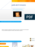 SM 4-Ecografía Obstétrica Del II Trimestre