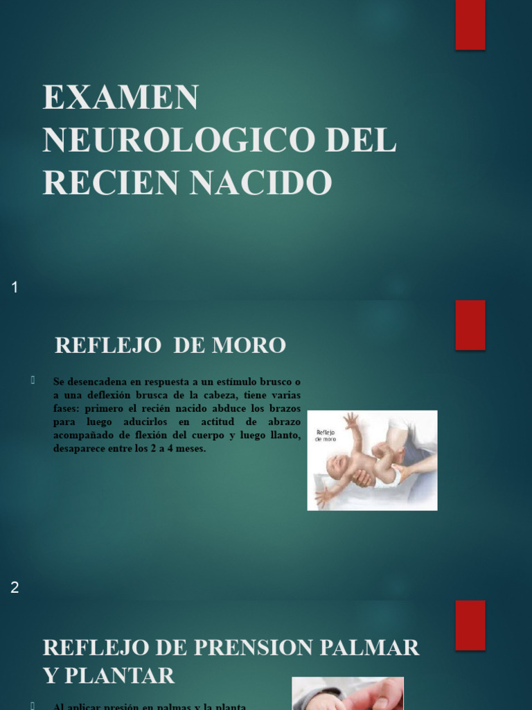 03 Calas De Valoracion Neurologica | Dcargar Gratis PDF | Coma