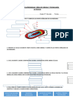 01 Actividad - de - Aprendizaje - Celulas
