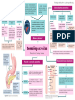 Mapa Secreción Pancreática