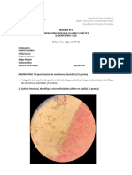 Reporte N°3 Laboratorio Biología Celular y Genética