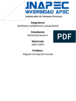 Ensayo Administrador Perezoso