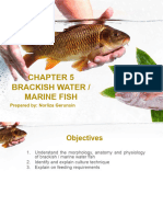 AQU207-Chapter 5 Brackish Water and Marine Fish