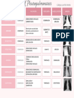 SX Pleuropulmonares