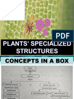 Plants Specialized Structures