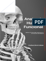 Manual de Anatomía Humana Funcional - Bonini
