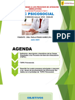 10.topic Psicosocial - Dra Paola Prado Nuñez - Julio 2021