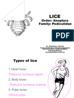 Lice