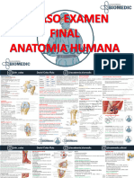 Cobapepas Examen Final Anatomia Human - Biomedic 2022-02