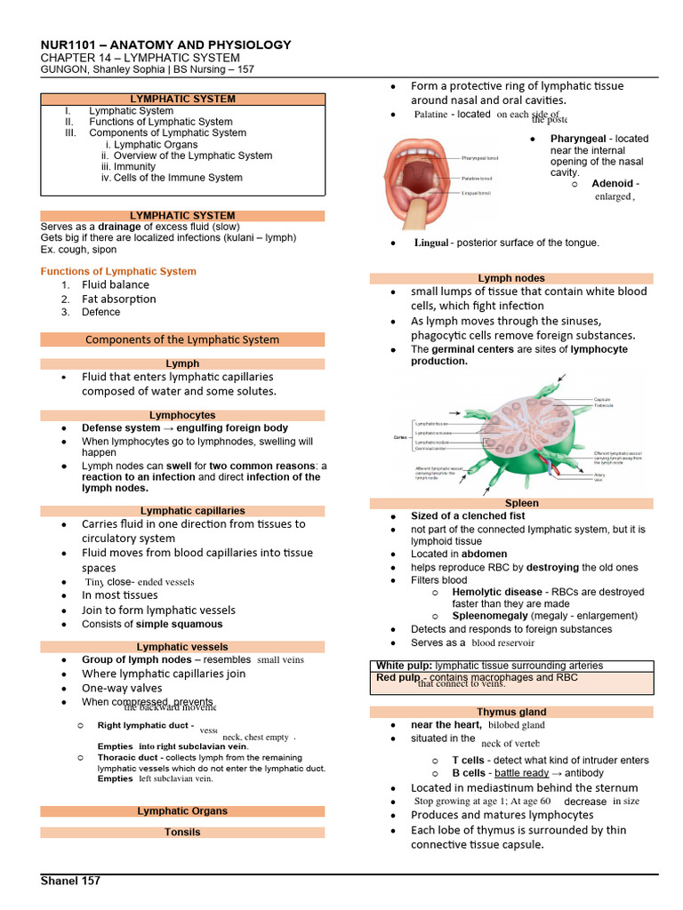 Lymphatic System Overview and Functions | PDF | Lymphatic System ...