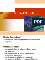 Metabolisme Karbohidrat