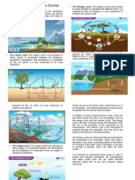 Different Cycle in Eco System