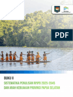 Prov Papua Selatan - Buku 2 - SEB Keselasaran RPJPN-RPJPD