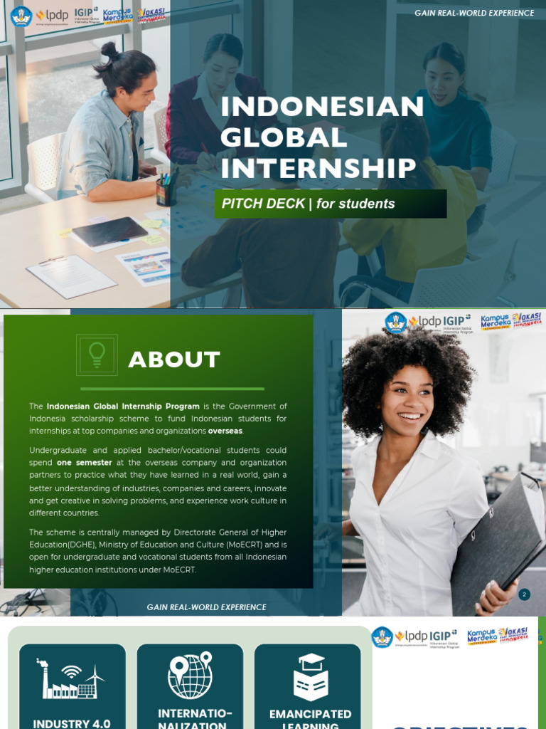 Pitch Deck For studentIGIP v2 PDF Internship Job Hunting
