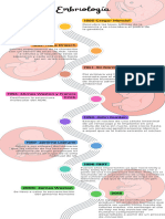 Infografía de Línea de Tiempo Timeline Con Años Fechas Multicolor Moderno