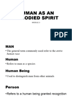 Human As An Embodied Spirit
