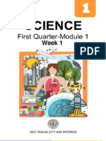 Tis Es Science English and Mathematics For Grade One Special Science Class