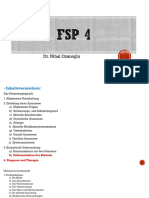 FSP 4