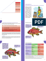 Unidad Didáctica 2: Buenas Prácticas de Procesado y Transformación de Los Recursos Pesqueros