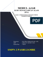 Modul Ajar Ipa Kelas 8 Kurikulum Meredeka Bab 2 Struktur Tubuh