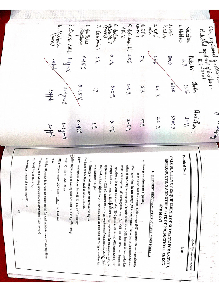 Fitness Musculation Nutrition : Programmes & Guides Fitness