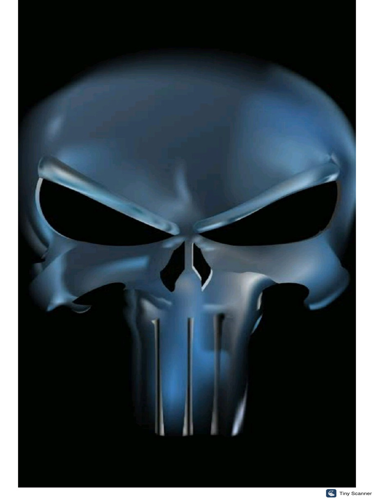 Logo Punisher | PDF