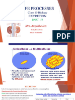 X Life-Processes Excretion Module 1 of 3