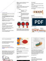 Biology - All About Transportation of Cells, Cellular Respiration + Photosynthesis