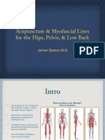 Hips Pelvis PR PDF