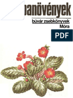 Sulyok-Varga-Szobanövények